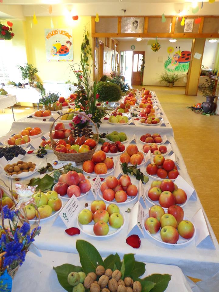 Výstava ovocia a zeleniny 2015