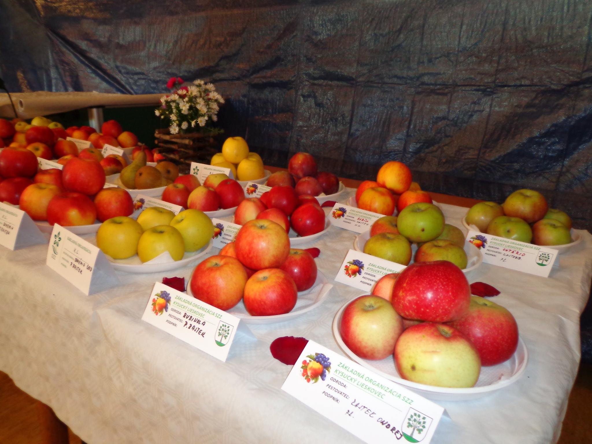Výstava ovocia a zeleniny 2015